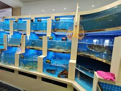 -大金山酒店