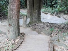 -火炉山森林公园