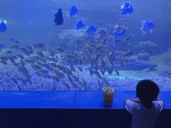 -重庆欢乐海底世界