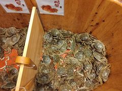 -初色海鲜自助(万丰路店)
