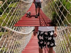 -那琴半岛地质海洋公园
