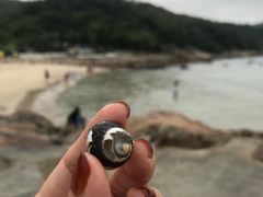 -南丫岛