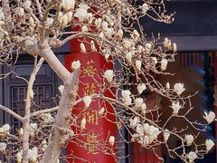 -灵谷景区