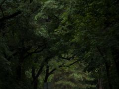 -北陵公园