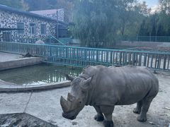 -哈尔滨北方森林动物园