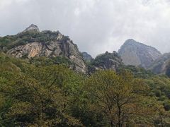 -青峰峡国家森林公园