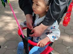-保定市动物园