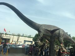 -陕西自然博物馆