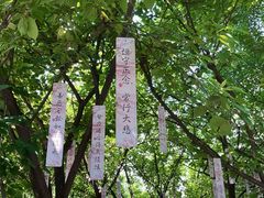 -西安大兴善寺