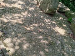 -上海佘山国家森林公园天马山园