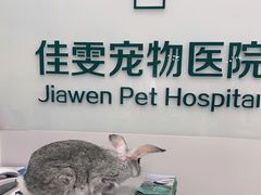 -佳雯宠物医院(四明中路分院)