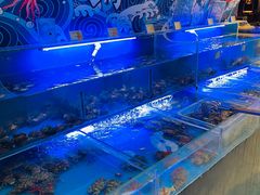 -朗丽兹餐厅