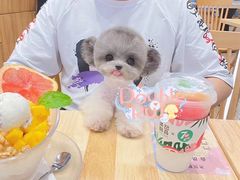 -Double Rui宠物酒店