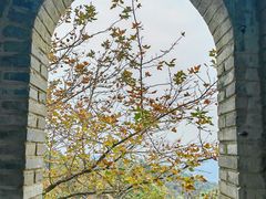 -溪霞怪石岭生态公园