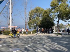 -绿城千岛湖喜来登度假酒店