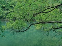-青龙山国家森林公园