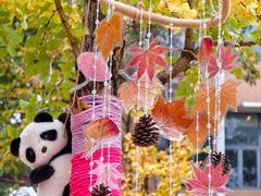 -福州大学(旗山校区)