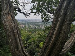 -北京西山国家森林公园