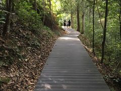 -江西阳明山国家森林公园