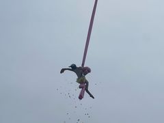 -武汉园博园(武汉自然博物馆)