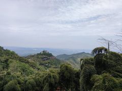 -莫干山风景区