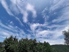 -鬼笑石后山停车场