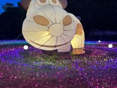 -光明农场大观园