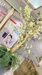 点击看大图 -芳朵美容养生SPA