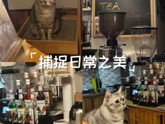 -隅cafe(傅厚岗店)
