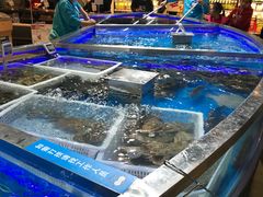 -盒马鲜生(悦峰店)
