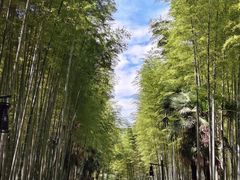 -黄公望隐居地