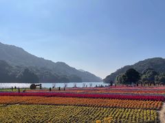 -广州市石门国家森林公园