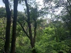 -大雁山风景区