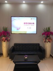 -北京安琪