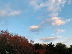 -廊坊市自然公园