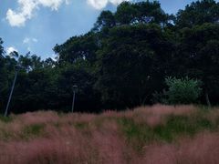 -牛岗山公园