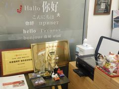 -MusicLife音乐(浦东校区)