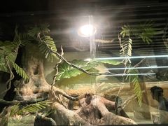 -朵云书院(滴水湖店)