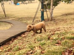 -钟山体育运动公园