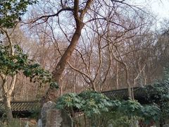 -南山风景名胜区