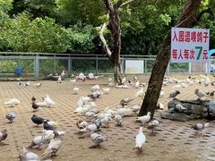 -柳州市动物园