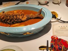 -阿五黄河大鲤鱼(英协路店)