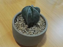 -万景饭店·鱼街农家菜