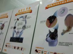 -宠物星动物医院·眼科·异宠·猫专科中心(江南大道总院)