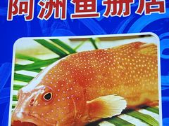 -金砂阿洲鱼册店