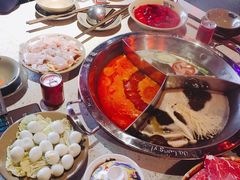 -大龙燚·旷野鲜火锅(广州首店)