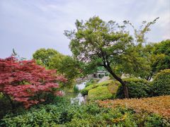 -羊山湖公园