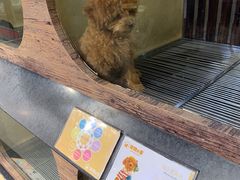 -宠物世家(仲盛世界商城店)