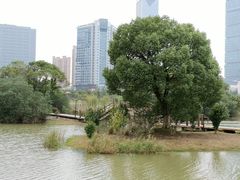 -艾溪湖湿地公园