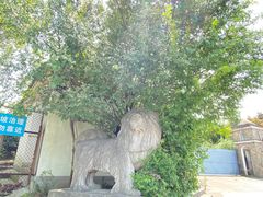 -缥缈峰景区